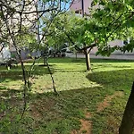 Andela Međugorje