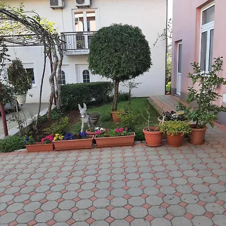 Andela * Međugorje